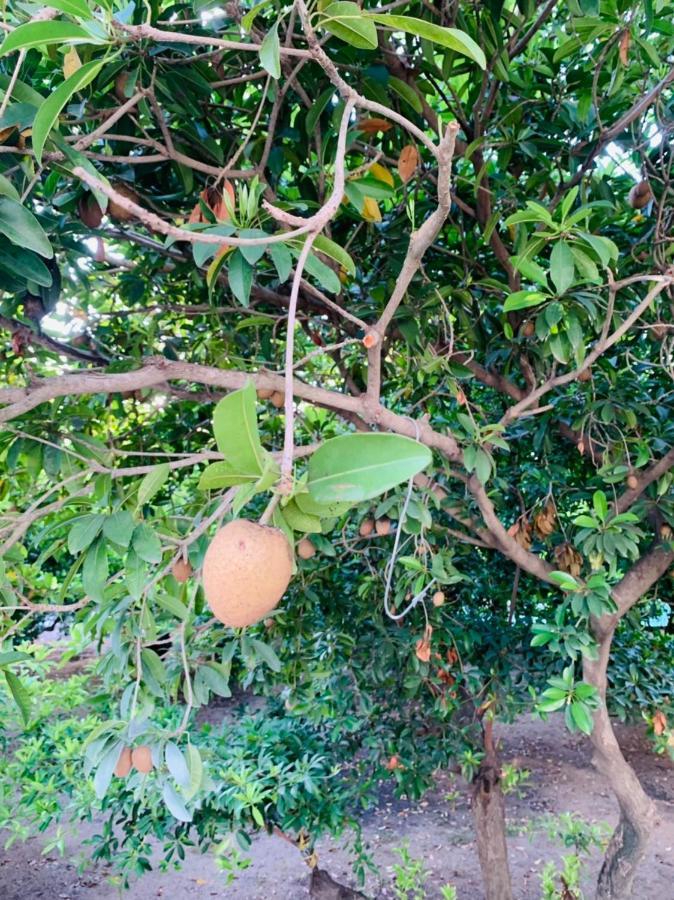 An - Garden By The Homestay *