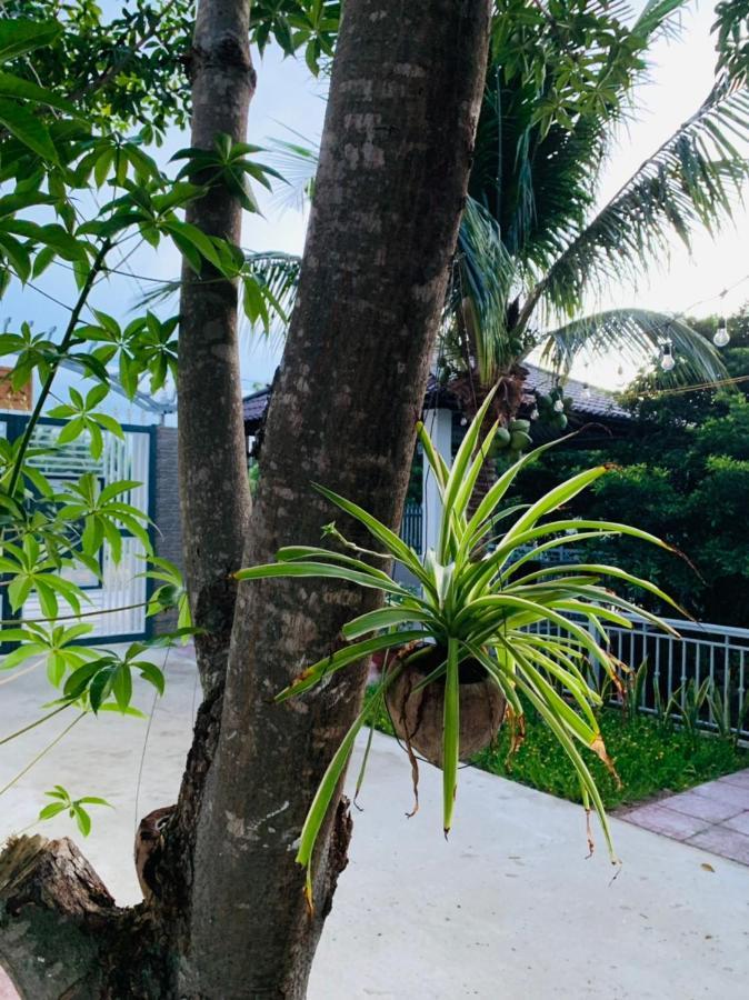 An - Garden By The Homestay