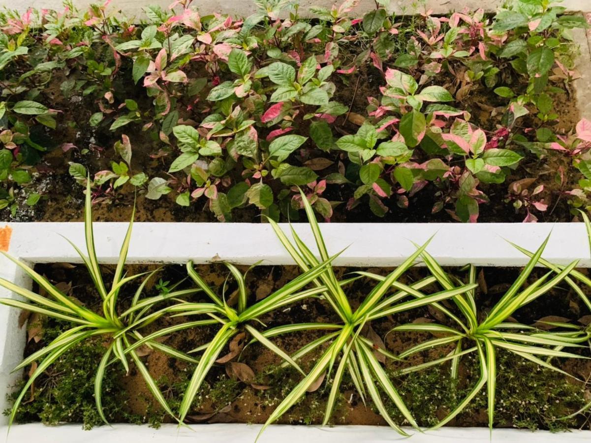 Homestay An - Garden By The