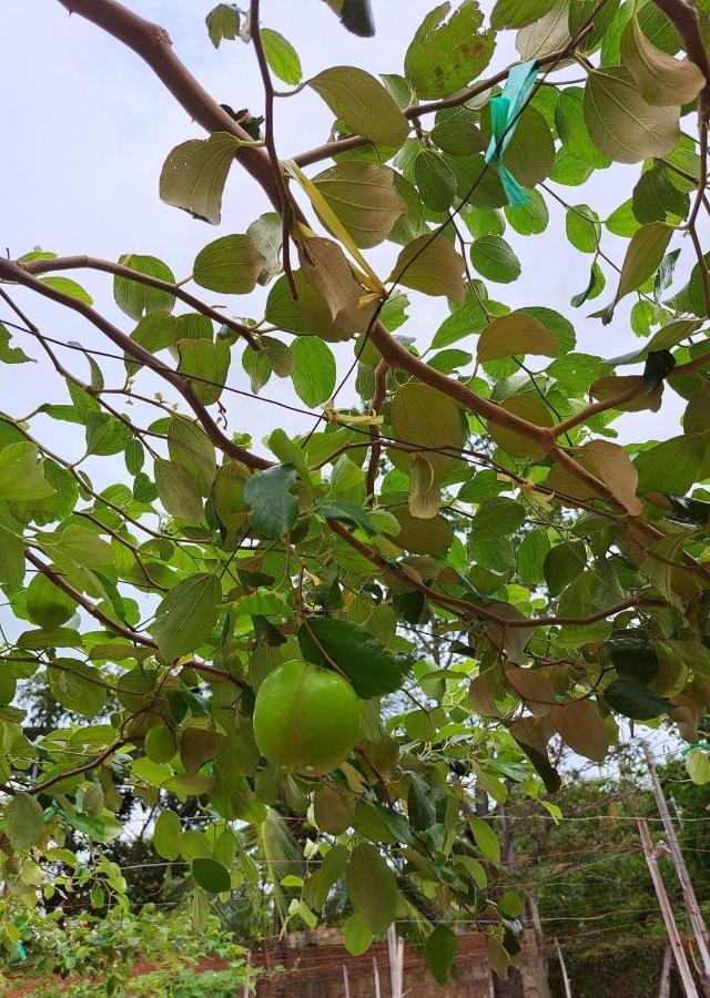An - Garden By The Homestay Phan Rang